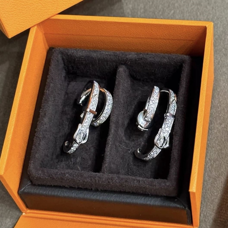 H**me5 earrings